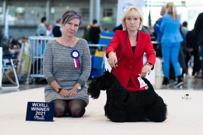 FB Karbonado WS 2021 FB Karbonado WS 2021