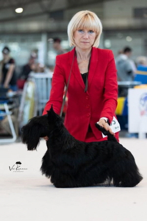 FB Never Say Never JWS 2021 FB Never Say Never JWS 2021