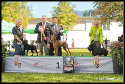 Huntings Moon BIG-3 Luzern1