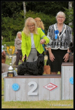 Huntings Moon BIG2 GW