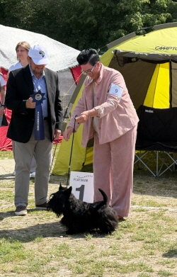 Sir Danley's Focus on Fergus_Munich Dog Show Day-3_BIS-Junior