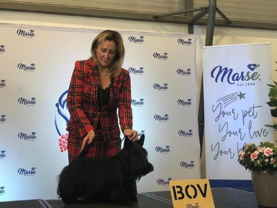 Spice Up WVW 2021 Spice Up WVW 2021