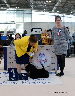 showsphoto.php showsphoto.php