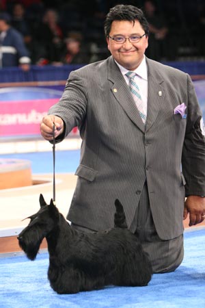 Sadie BIS AKC National