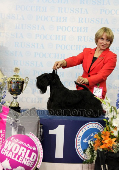 FB Celebration Eukanuba