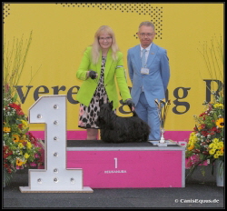 Huntings Moon Bleiswijk BIG