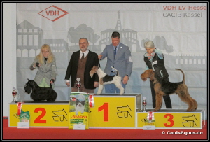 Huntings Moon Kassel1 BIG-2