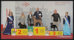 Huntings Moon Kassel2 BIG-2