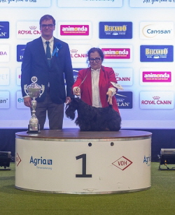 Pearl Queen BIG Dortmund