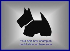 next champion