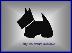 no picture